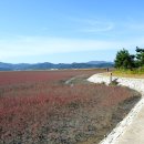 남도삼백리길(3코스) 이미지