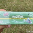 쿠팡 주식회사 | 쿠팡직수입 가성비 레이맥스(Raymax) 알카라인 건전지 AA형 후기