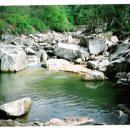 구수골농장 이미지