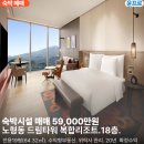 윤드림 티스토리