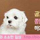 비비큐 (B.B.Q) 이미지