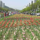 안산천 이미지