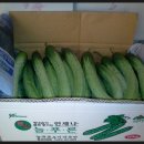 씨오이 이미지