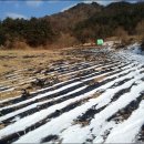 양지-3571 이미지