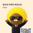 용인대 마루한 태권도 이미지