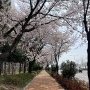 가락생태공원(2) 이미지