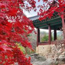 충재박물관 | 경북 봉화 여행 청암정 I 봉화 제8경 국가유산 명승 I 가을에 가볼만한곳 추천