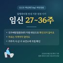동향보건지소 | 임신부 백일해 예방접종 27~36주, 무료는 지역마다 달라요