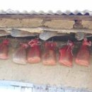 메주꽃이랑 이미지