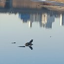 양평2동-11 이미지