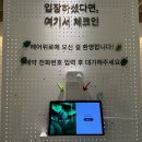 태영미용실 - 고양시 일산서구 | 길음역 미용실 헤어위로 여자커트 레이어드컷 태영원장님 후기