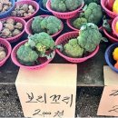 시장통 이미지