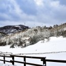 하늘목장 이미지