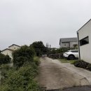 빌레하임 | [제주 남원 숙소 추천] 스테이 빌레하임 제주 감성숙소 - 제주에서 한달살기를 한다면 머물고 싶은 곳