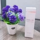 브이에이에이