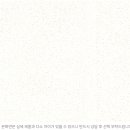 미라쉘 이미지