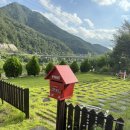 라벨라비타펜션민박 | 충북 단양군 라벨라비타펜션 201호 솔직후기