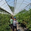 아름농장 이미지