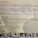 용인 처인성은 살리타이를 사살하고 몽골침략을 물리친 처인부곡민과 승장 김윤후의 위대한 승전지