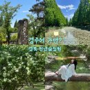 천년마중길 1코스 | [공지] 경주 천년숲정원 황리단길 여행 명소 코스 추천(위치, 주차, 입장료)