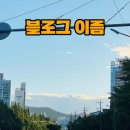 고루도