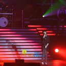 대성관광㈜ 이미지