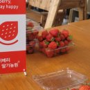 디자인DH 이미지