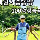 행복한사슴농장 이미지