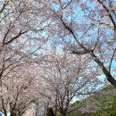 거제경찰서 입구 이미지