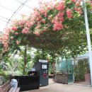 양지은농장 이미지