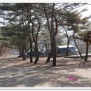 화양동관광농원 | [ 괴산캠핑장 ] 화양동관광농원... 충북 수영장 있는 방갈로 캠핑장~~^^