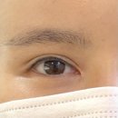 보리네김밥 | 자양동 속눈썹 찾는다면? 보리네눈썹가게 속눈썹펌 후기