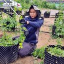 김진동농장 이미지