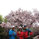 해식 농장 이미지