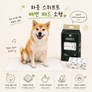 흡수력 좋은 강아지 배변패드 추천 하웃 스위프트 소형 솔직 후기