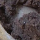 시장떡방앗간 이미지