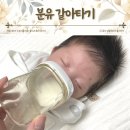 수입 국내 분유 갈아타기 소화 잘되는 신생아 분유 추천 아이엠뉴질랜드