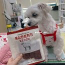 강화홍삼(주) | [강아지 간식 추천] 반려견의 건강과 입맛, 모두 잡은 '홍삼튼튼져키 양고기스틱'
