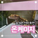 은신처 | [내돈내산] 온케이지 아크릴 습식은신처 후기