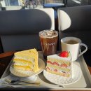 카페덕남 | [경북 청도 카페] 수제 케이크 맛집 대형 카페 추천 '카페 덕남' 영업시간 내부 메뉴 케이크 종류 가격...