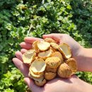 황율농장 이미지