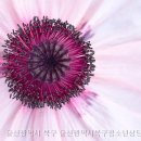 울산북구청소년상담복지센터 네이버블로그