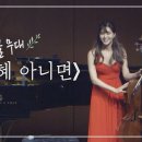 Graceful Cello~! 이미지