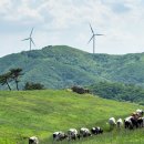 여의대방로69길 이미지