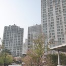 고양행신128 이미지