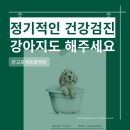 더 포레 동물병원 이미지