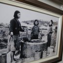 고살메갈꽃체험마을 이미지