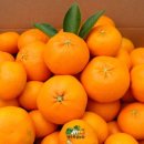 제주농장 이미지