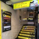 룸비 룸서비스 부산서면점 | 서면 술집 룸비 룸서비스 부산서면점