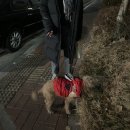 혼돈의 세계+ 어디로 가는가? | Im gonna make it smile smile smile away